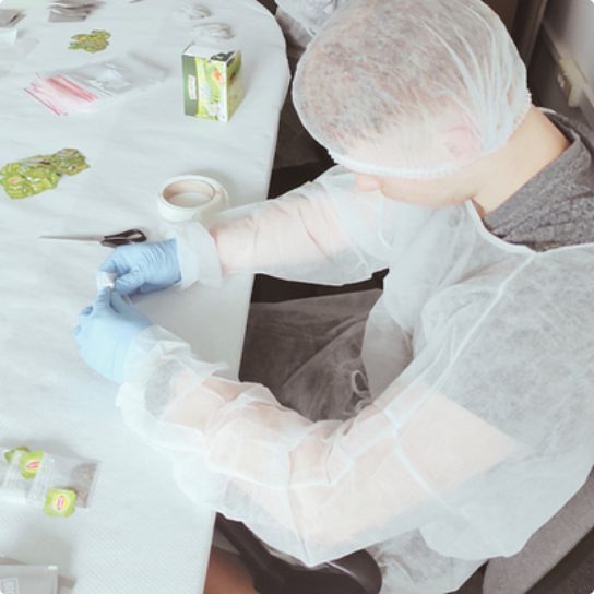 Hygiene Protocol